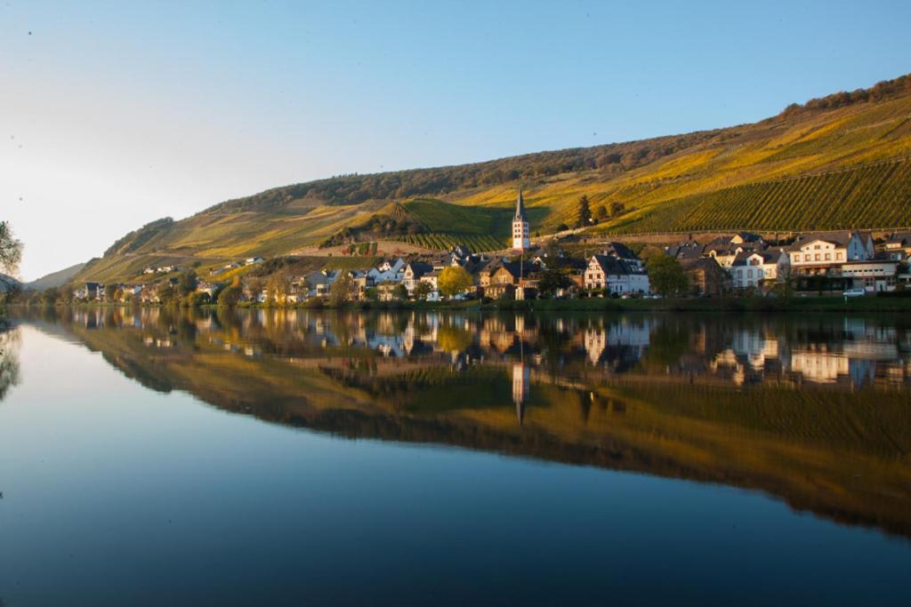 Das Haus In Spay An Der Mosel Mit Sauna Zell Extérieur photo